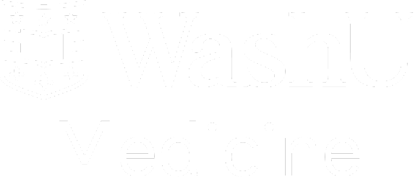 “wustl”